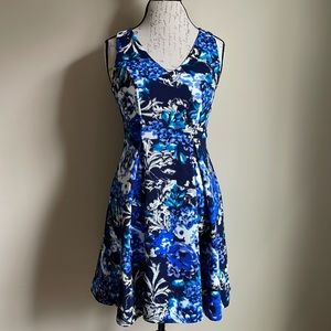 Dex Floral Fit & Flare Dress